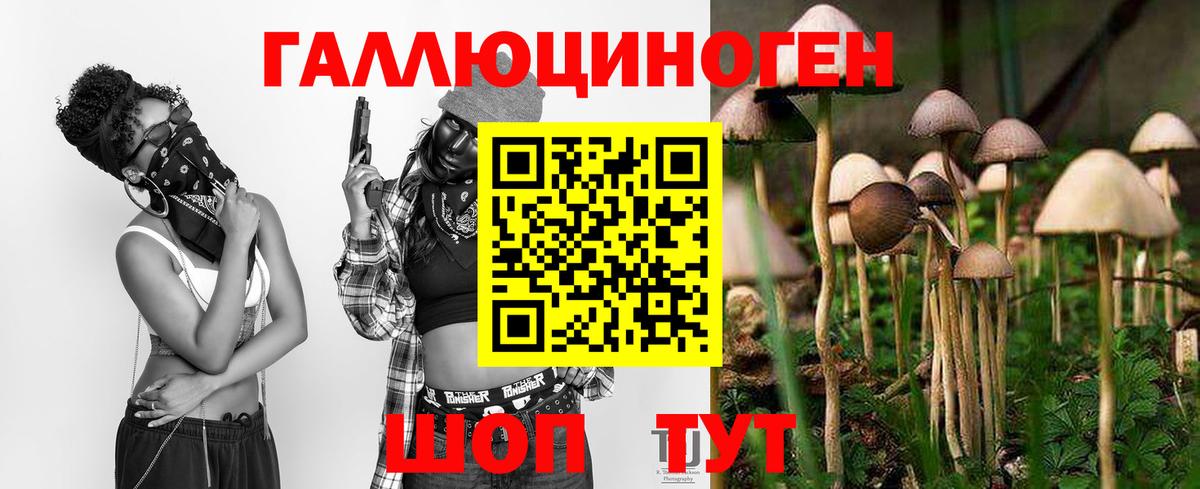 Галлюциногенные грибы Psilocybine cubensis  Вход с VPN  Фрязино  Псилоцибиновые грибы GOLDEN TEACHER 